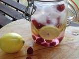 Eau de fruits : framboise - citron