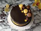 Entremets praliné, citron et chocolat