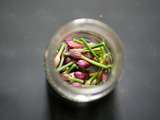 Boutons de fleur de ciboulette au vinaigre