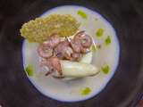 Bavarois d’asperge, crevettes grises et parmesan