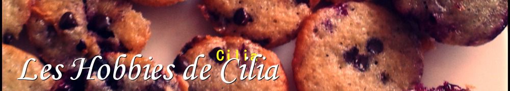 Recettes de Les Hobbies de Cilia