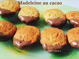 Madeleine au chocolat