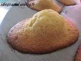 Madeleines