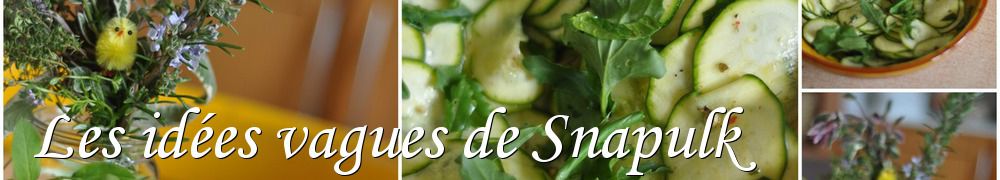 Recettes de Les idées vagues de Snapulk