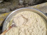Risotto de chou fleur