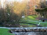 Parc Barbieux Roubaix