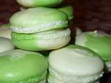 Macarons bicolore à la chartreuse