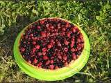 Tarte aux fruits rouges