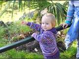 Zoo de Beauval