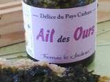 Condiment à l'ail des ours