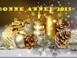 Bonne année 2015