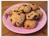 Cookies aux cranberries, flocons d'avoine et noix de coco