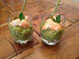 Verrines guacamole et crevettes