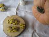 Pumpkin and chocolate cookies