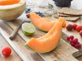 10 Recettes inédites 100% Melon