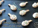 Amusettes aux rillettes de thon