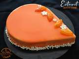 Entremet abricot - vanille