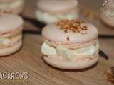 Macarons vanille - praliné