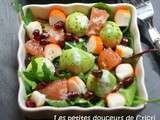 Salade exotique aux batonnets pleine saveur coraya