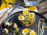 Toasts avocat aux oeufs de caille pour Pâques