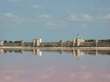 Voyage au pays du sel  Saunier de Camargue 