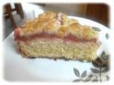 Rhubarb Crumble Cake