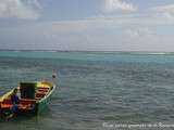 Restaurant Le Poivrier, bonne adresse en Guadeloupe