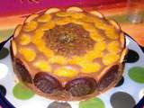 Delice chocolat mandarine