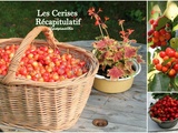 Cerises (récapitulatif) Recettes sucrées et recettes salées