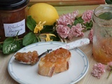 Confiture rhubarbe, banane et citron