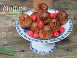 Muffins aux framboises et aux pralines roses - balade sur les bords de la Saône et du Rhône à Lyon