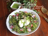 Salade de légumes verts et burrata vinaigrette au pesto