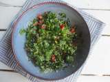 Salade égyptienne aux herbes - balade égyptienne (8) le temple de Philae et un village nubien