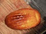 Madeleines