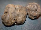 Truffes noires