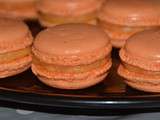 Coques de macarons