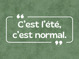 « c’est l’été, c’est normal. »