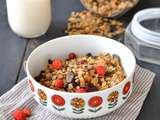 Granola maison : ma base 2018