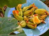 Beignets de fleurs de courgettes