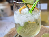 Cocktail Sauvage : Gin au Fenouil sauvage & Citron pétillant