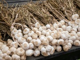Conservation de l'ail violet de Cadours