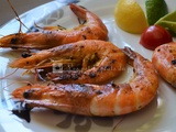 Gambas marinées, grillées sur plancha