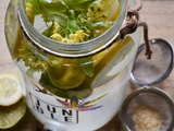 Limonade à l’ancienne au tilleul