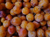 Mirabelle, l’or du jardin