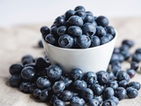 Myrtille & le bleuet : le petit fruit bleu qui sent la montagne