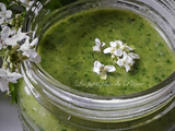 Pistou d’alliaire (herbe à ail)