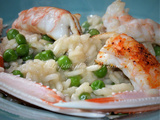 Risotto aux petits pois et langoustines