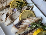 Saupe au four, vin blanc & huile de fenouil sauvage