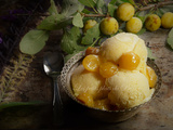 Sorbet de mirabelles au miel