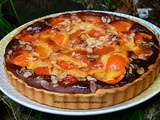 Tarte amandine aux abricots et au miel